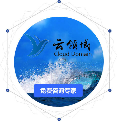 云领域SEO团队如何披荆斩棘？